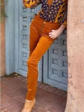 Cabi Button Fly Skinny High-Rise Skinny Pants in Rust - Women